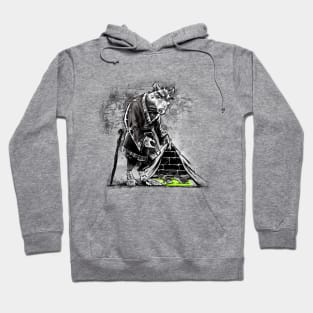 Turtles Behind the Wall Hoodie